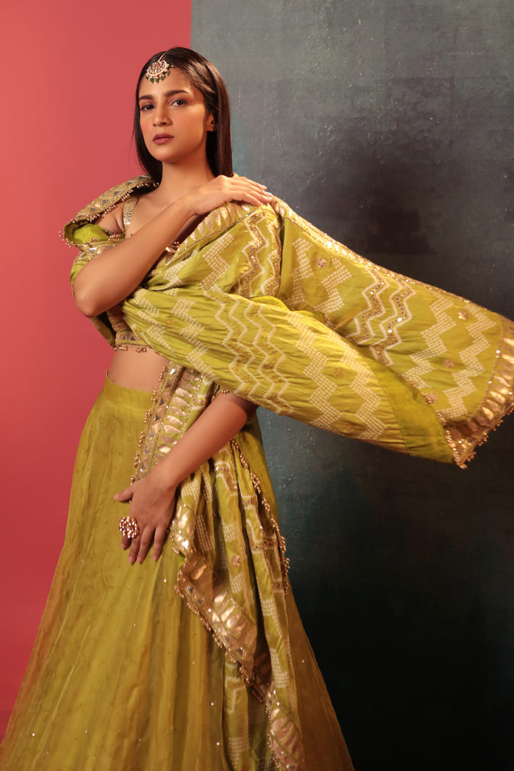 Green Organza Bandhani Lehenga Set - Bandhani