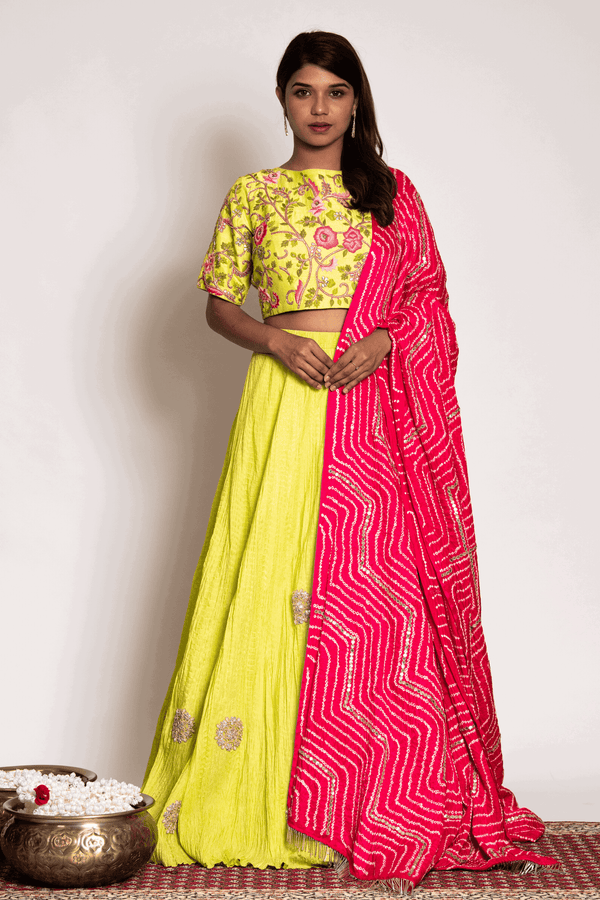 Lime Green Anchor And Gota Blouse Paired With Crush Skirt And Strawberry Bandhani Dupatta - Bandhani