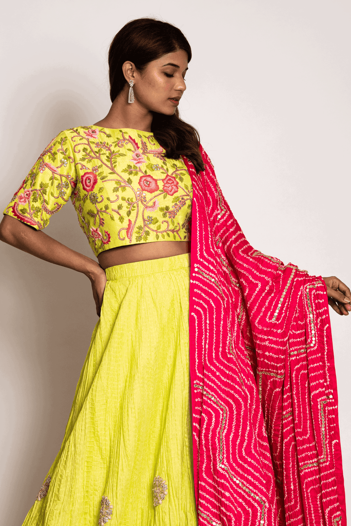 Lime Green Anchor And Gota Blouse Paired With Crush Skirt And Strawberry Bandhani Dupatta - Bandhani