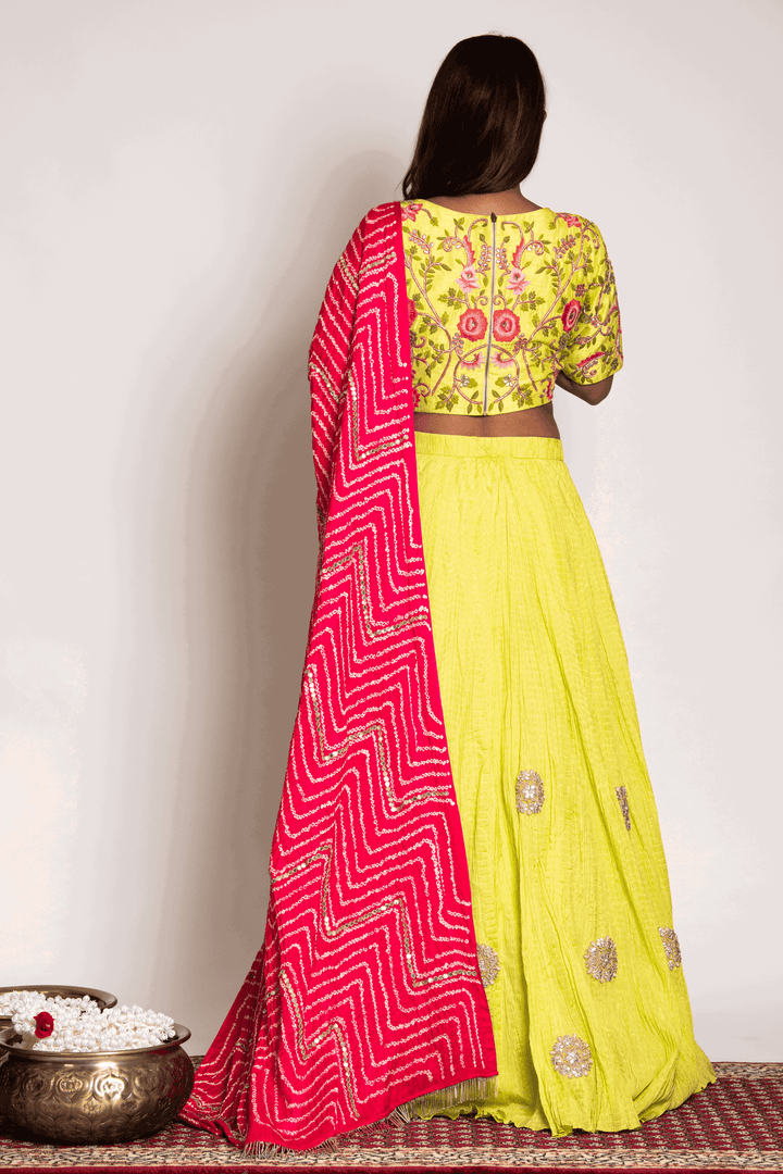 Lime Green Anchor And Gota Blouse Paired With Crush Skirt And Strawberry Bandhani Dupatta - Bandhani