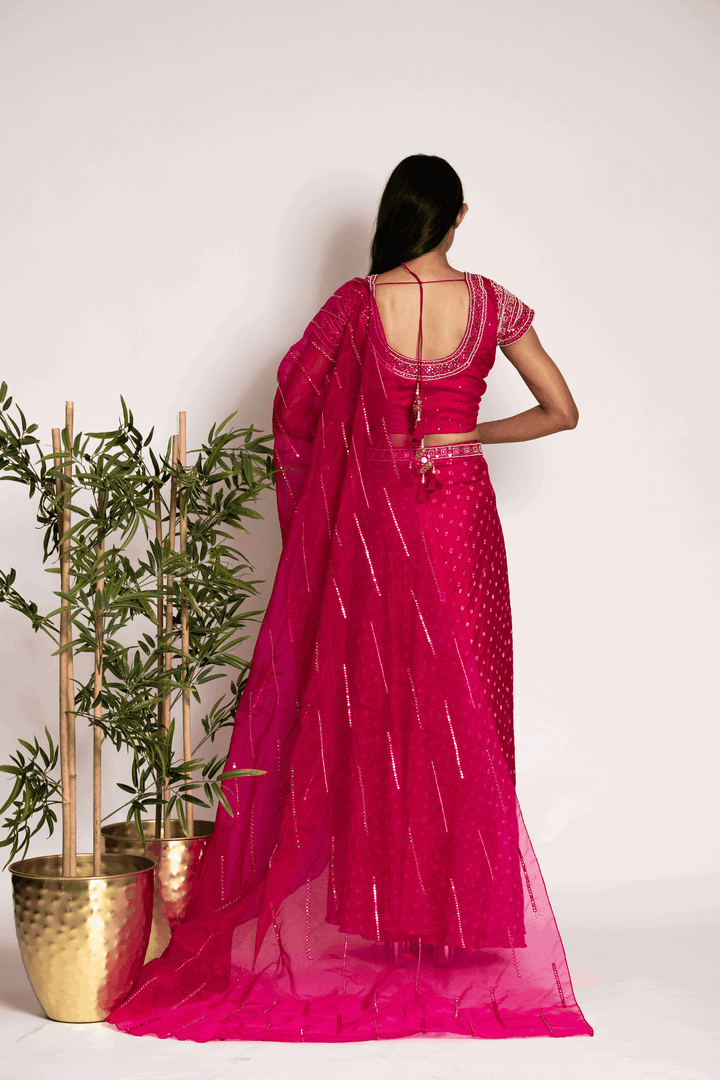 Rani Pink Drape Skirt With Crop Top And Sash - Bandhani
