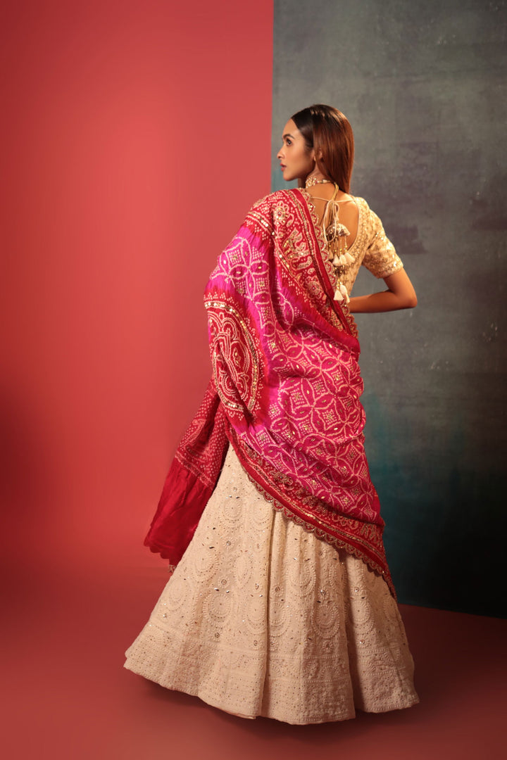 Red-Rani Gazzi Silk Gota Patti Dupatta - Bandhani